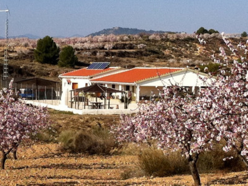 4 Bedrooms - Finca - Murcia - For Sale - 2