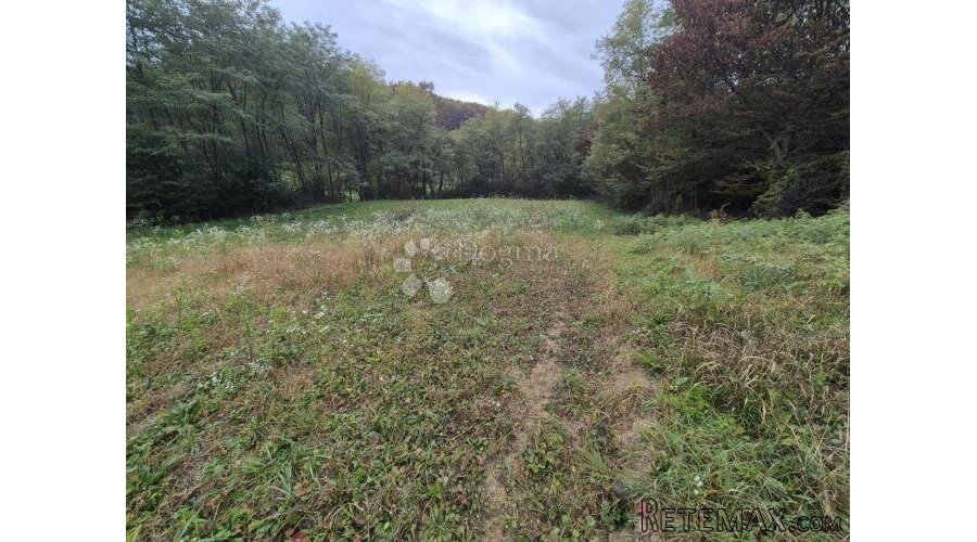 Zemljište 1.169m² na mirnoj lokaciji sa pristupnim putem nad - 3