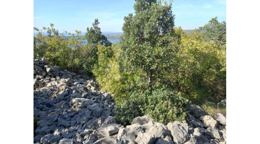 Krk, Punat, poljoprivredno zemljište