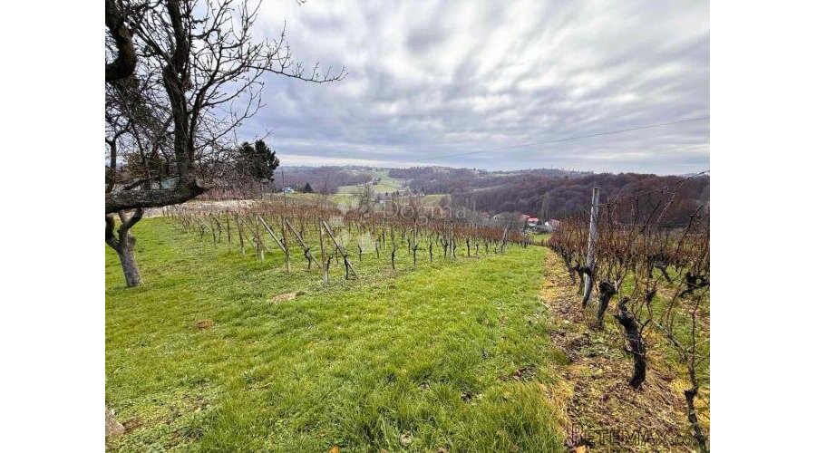 Panoramski pogled, vinograd i prostor za gradnju - 2