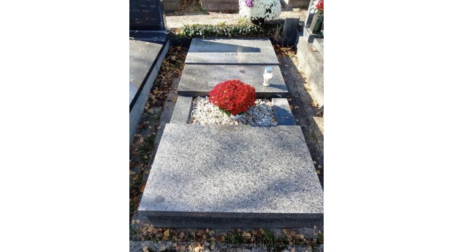 Grobno mjesto Mirogoj