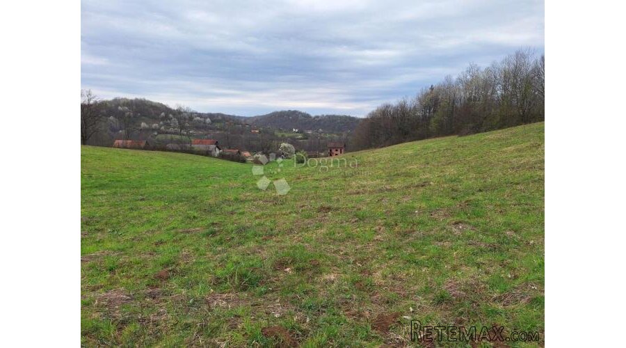 Veliko i uredno sa dosta šume - 2