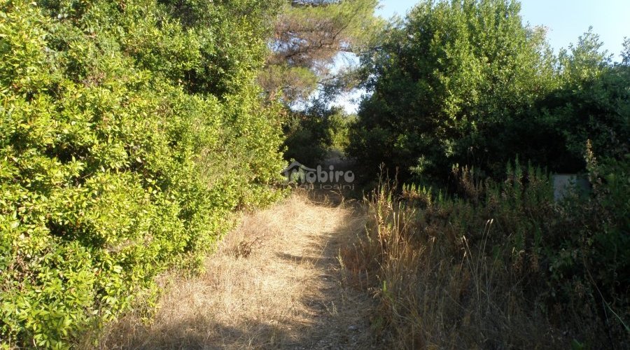 Građevinsko zemljište za vilu ili više stambenih objekata - 2