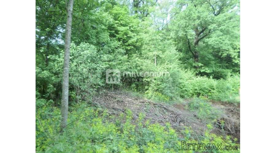 Čavle, građevinsko zemljište od 2.800m2 - 3