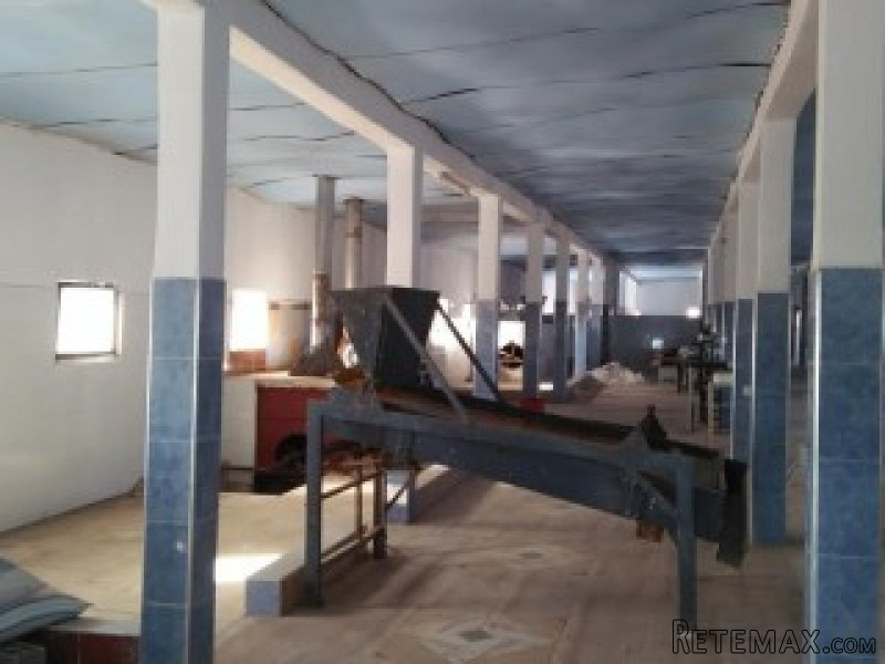 Hangar - 1000m2 - road Tamnsourt - 10..