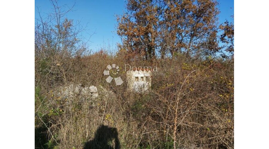 Stancija za obnovu na 3ha zemljišta na osami - 3
