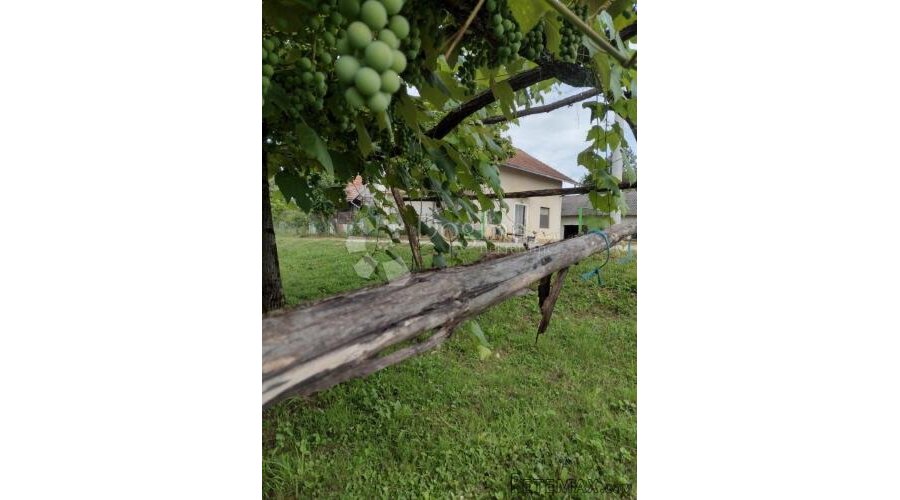 Opg imanje, ogromno zemljište, dodatna kućica - 2