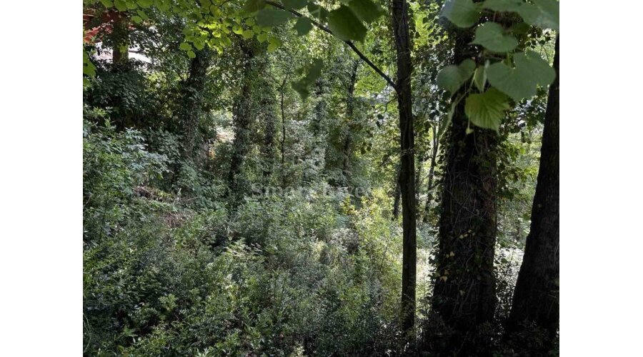 MATULJI, 2 zemljišta za poslovno-stambenu gradnju - 2