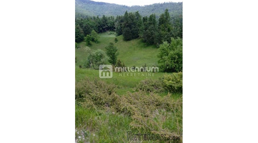 Jelenje, Lepenice, građevinsko zemljište od 11.937m2 - 2