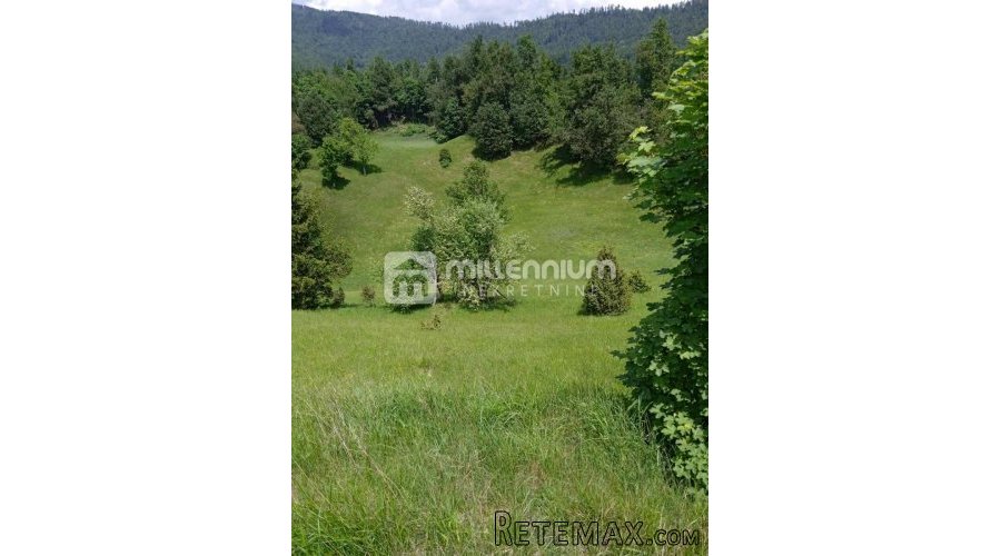 Jelenje, Lepenice, građevinsko zemljište od 11.937m2 - 6