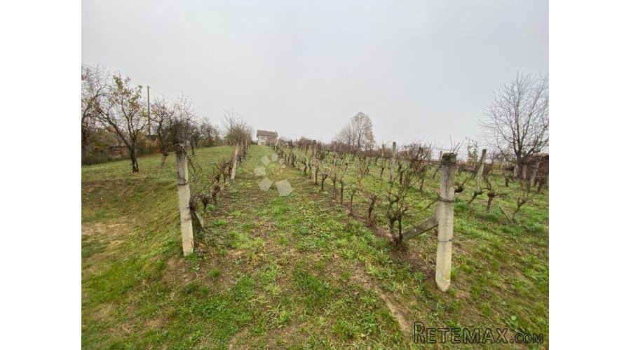 GRAĐEVINSKO ZEMLJIŠTE 1115m2 - LOKACIJA SA POGLEDOM! - 3