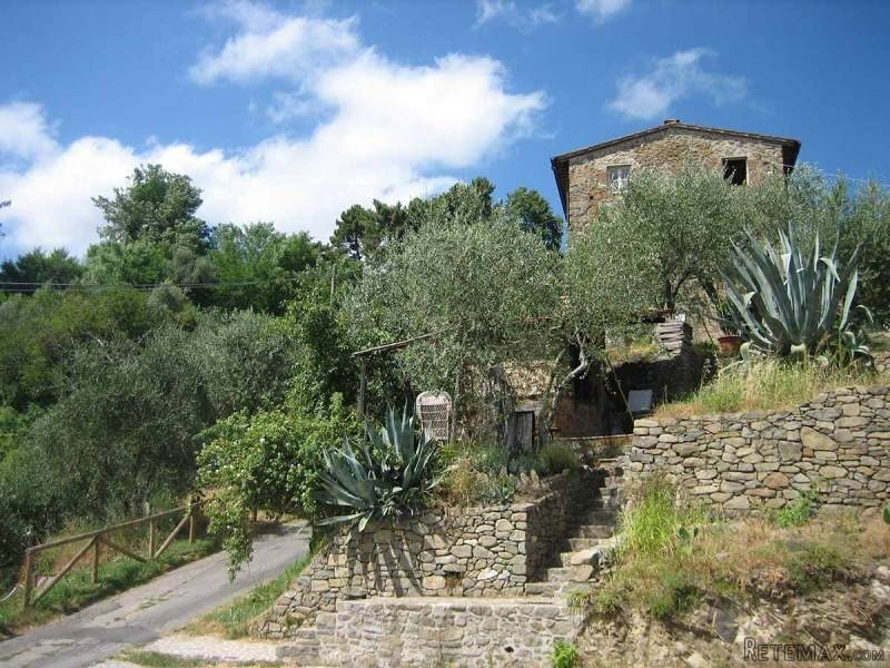 Stone House - Artist
