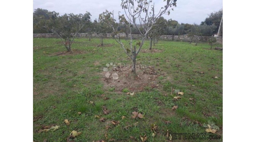BRATULIĆI – Građevinsko 2.258 m2 s bogatim voćnjakom - 2