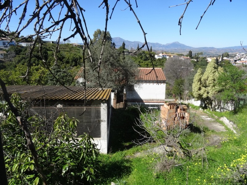 The English House* - 2