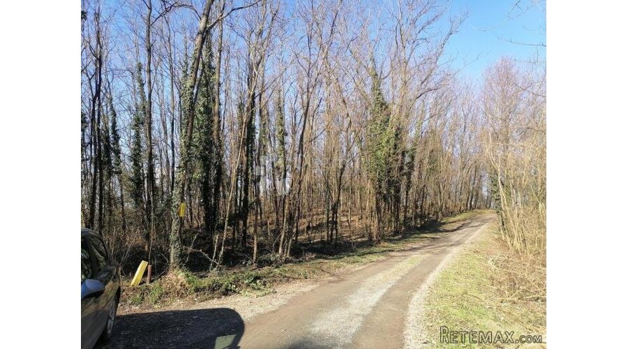 Šuma Paka u Gradišću - 2