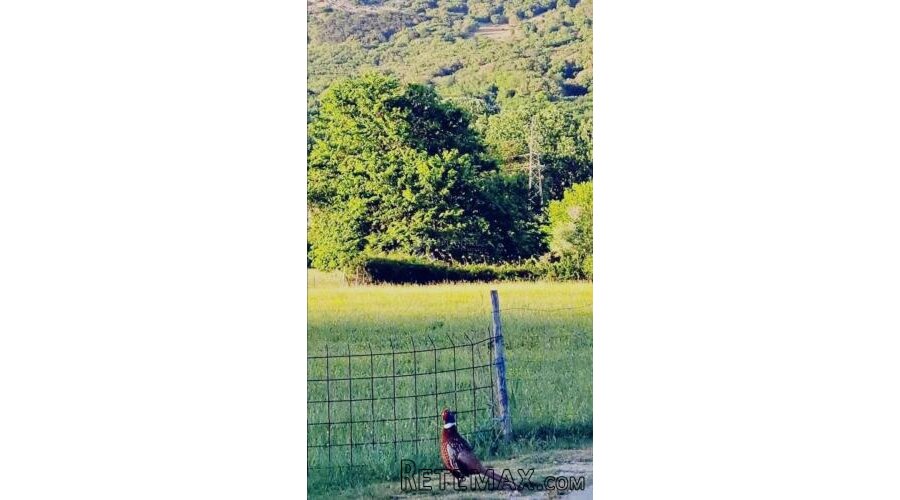 Kopija od ●BAŠKA (Krk) – Zemljište 2220 m² s pristupnim pute - 2