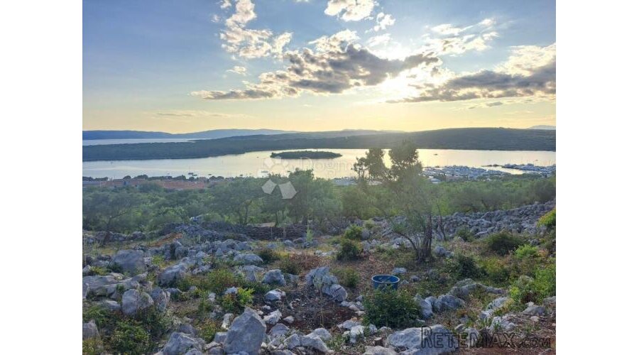 Maslinik s pogledom na more – Punat, otok Krk
