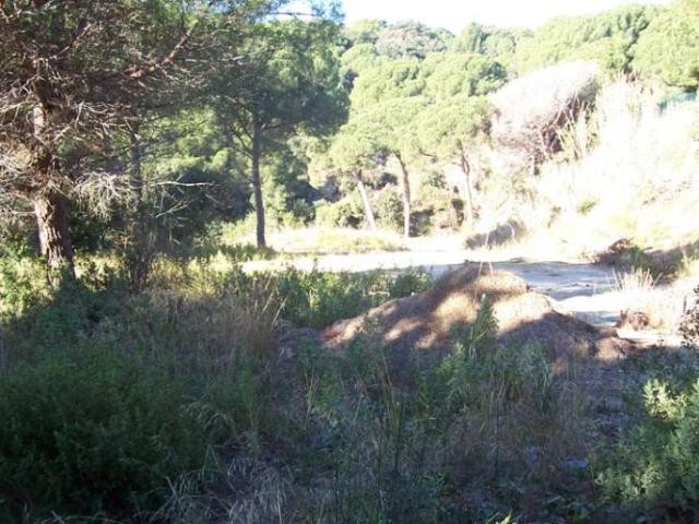 Plot in Supermaresme - 2