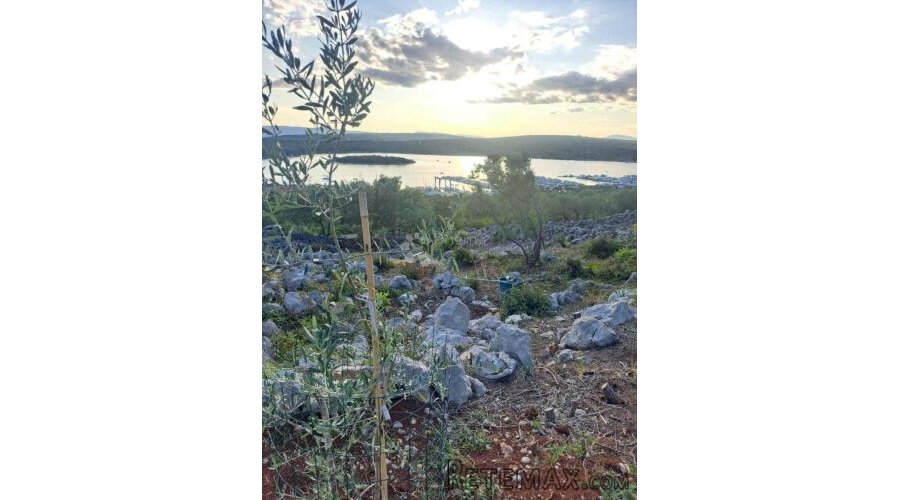 Vaš kutak mediterana – maslinik s pogledom na more