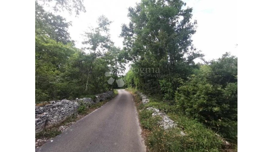Poljoprivredno zemljište (šuma) - 2