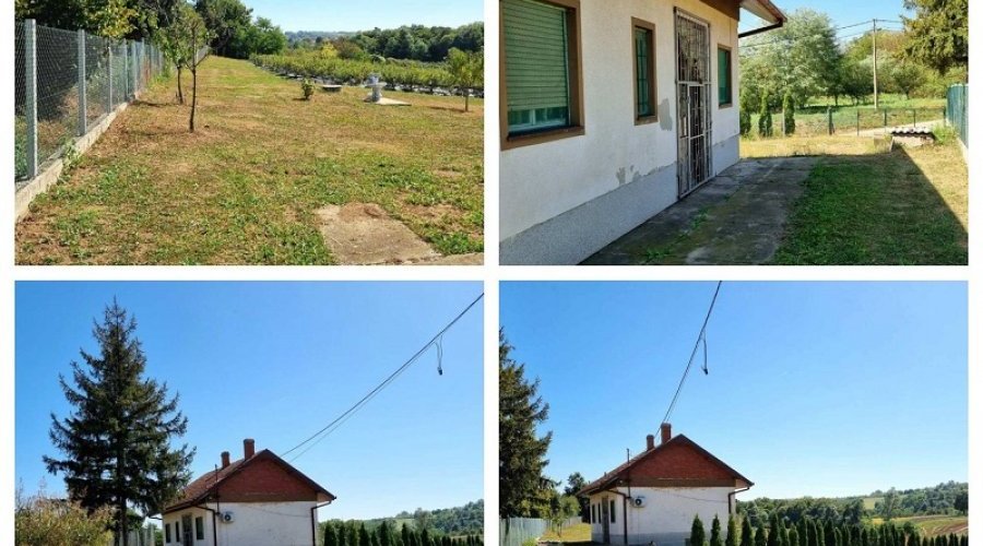 Kuca sa plantazom u blizini Smederevske Palanke - 2
