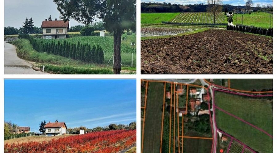 Kuca sa plantazom u blizini Smederevske Palanke - 8