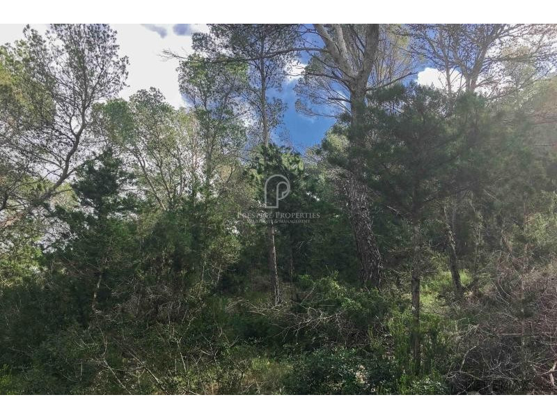 Large plot with license and project in.. - 2