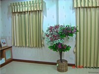 House / Home For Rent Nakonratchasima.. - 2