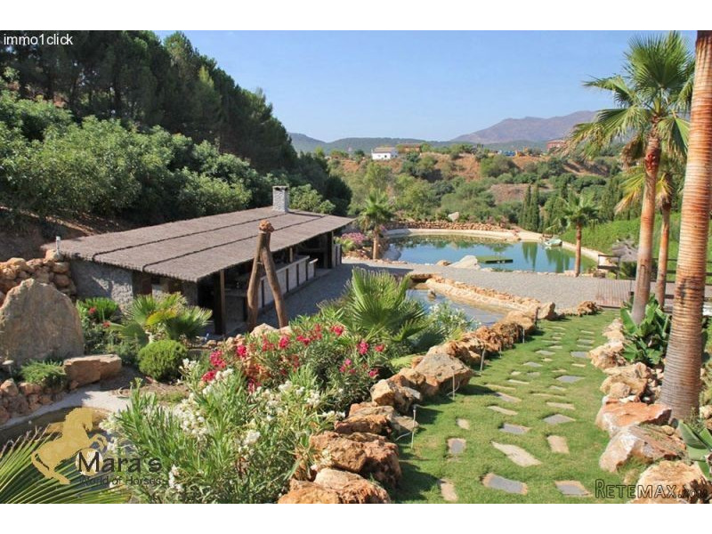 Coin: Country horse property, finca..
