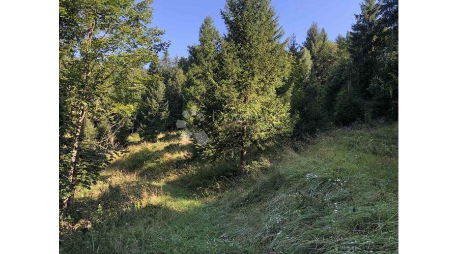 Atraktivno zemljište, Gorski kotar - 2