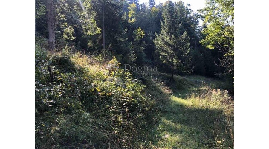 Atraktivno zemljište, Gorski kotar - 3