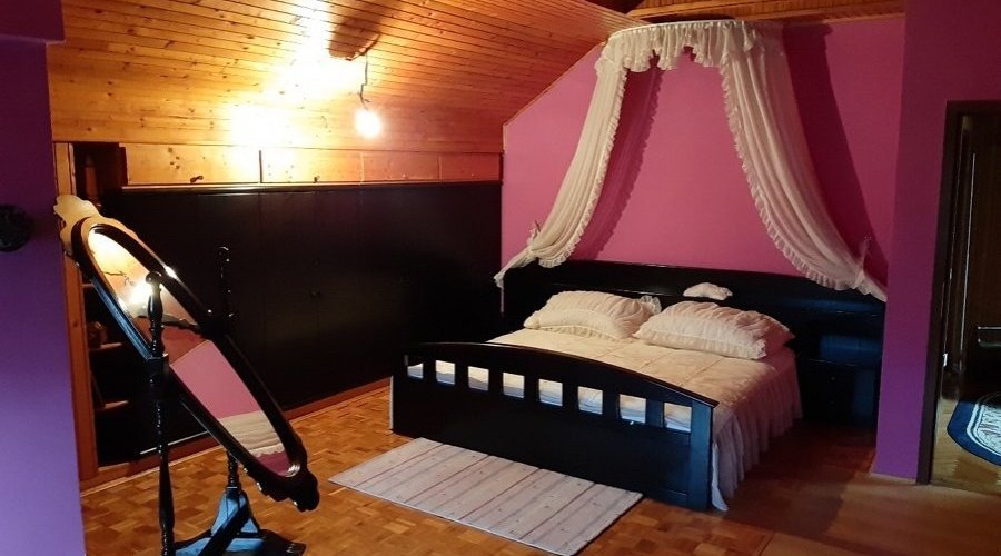 Prodajem kucu u Indjiji - 13