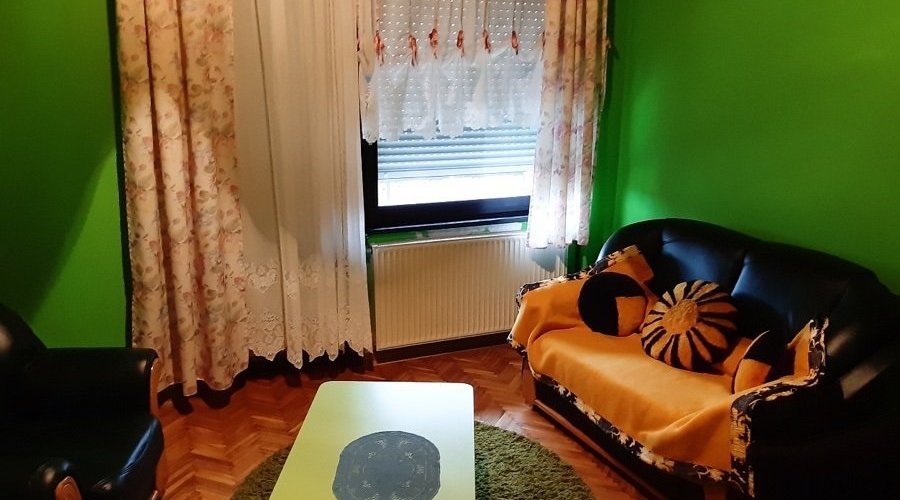 Prodajem kucu u Indjiji - 16