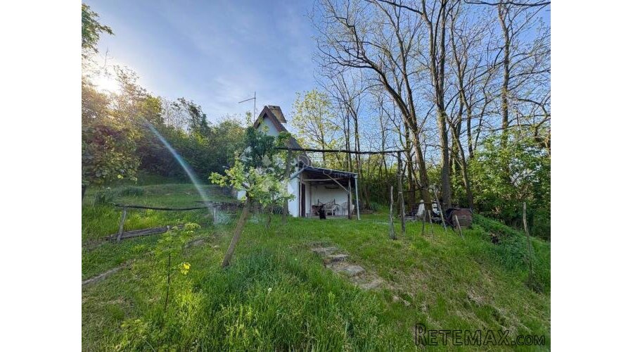 Oaza mira i privatnosti – vikendica s vinogradom i 3.797 m² - 2