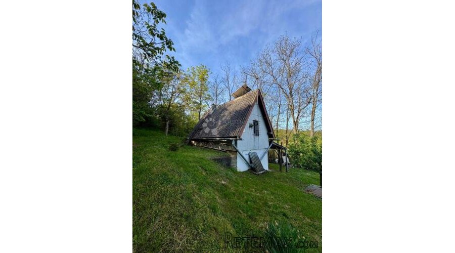 Oaza mira i privatnosti – vikendica s vinogradom i 3.797 m² - 3