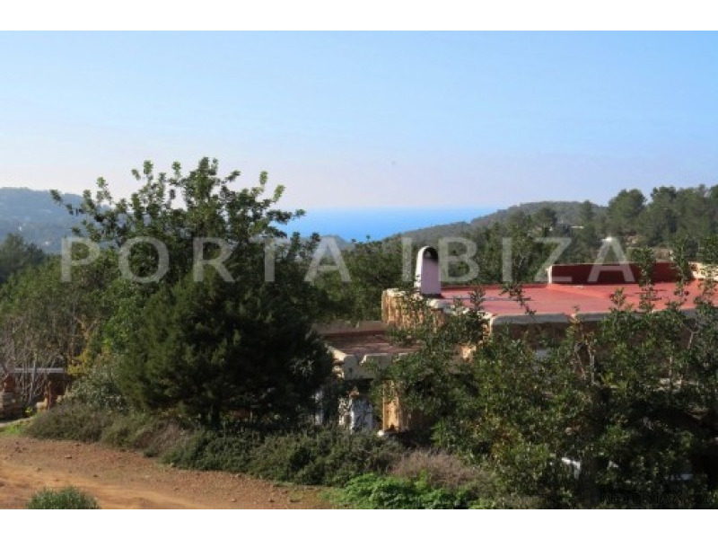 Fantastic finca with sea views - 2