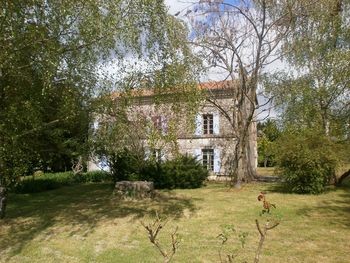 Magnificent Charentaise To Update On..