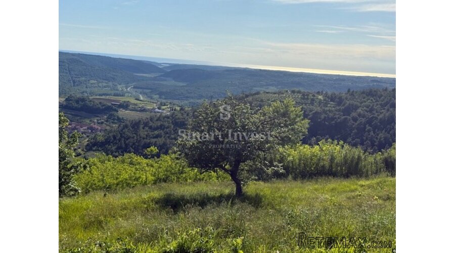 ISTRA - ZAVRŠJE, prekrasan teren od 3497 m2, sa idejnim.. - 2