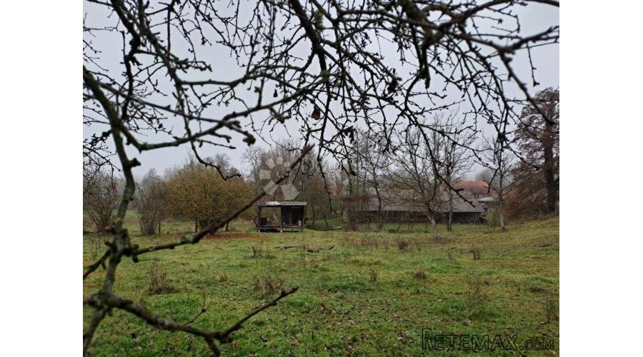 Uživancija za konjiće, kravice ili ljude - 2