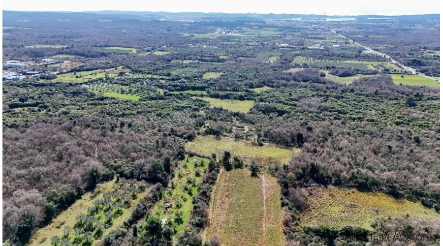 GALIŽANA - Prodaje se veliko poljoprivredno zemljište – 20... - 5