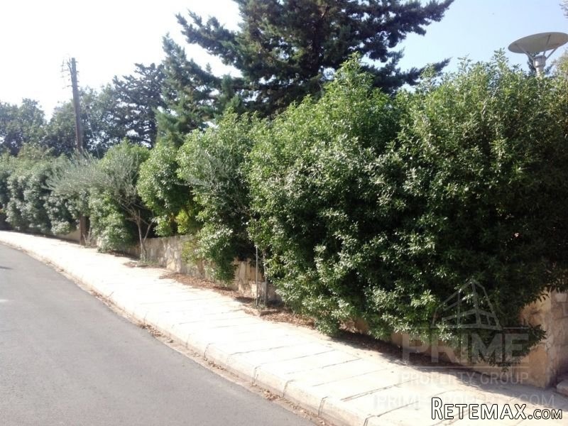 Bungalow in Paphos, Cyprus, for Rent.. - 2