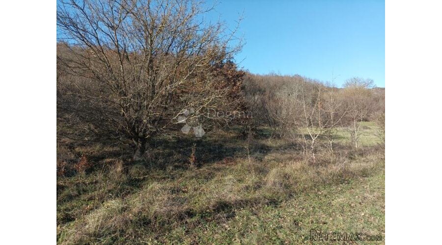 Veliko poljoprivredno zemljište Orič - 2