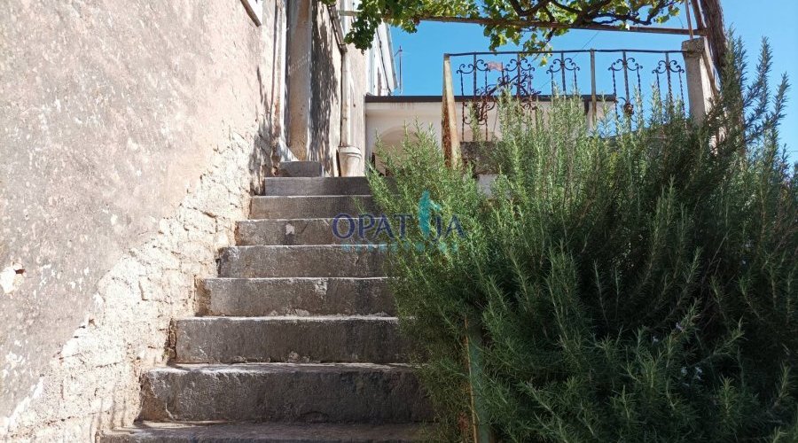 Dvije starine s vrtom blizu Višnjana ! - 3