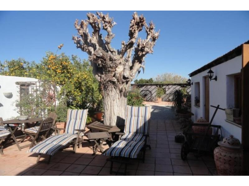 Detached Finca with legal title deeds.. - 2