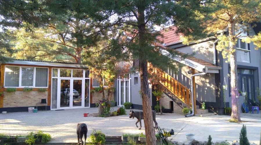 Kuca sa placem-Deliblatska pescara