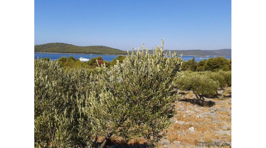 T2 ZONA MILNA, BRAČ 17699m2 - 2