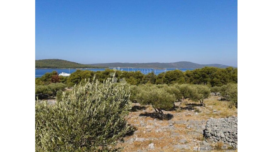 T2 ZONA MILNA, BRAČ 17699m2 - 3