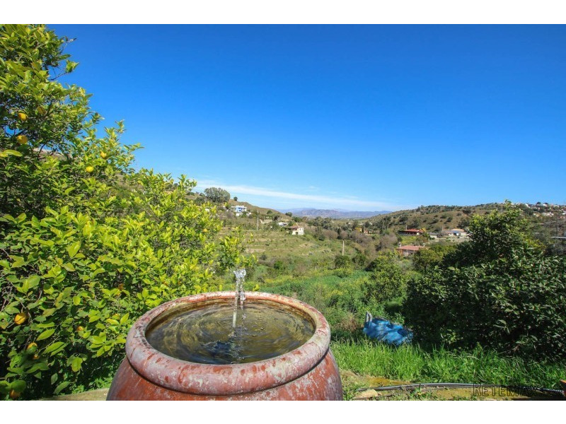 3 Bedroom Finca Villa - 2