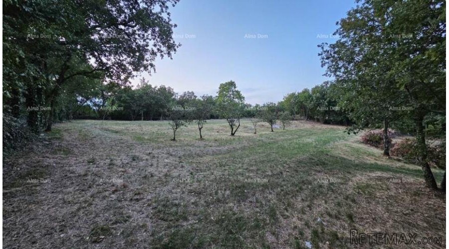 TINJAN - Građevinsko zemljište 3.623 m²