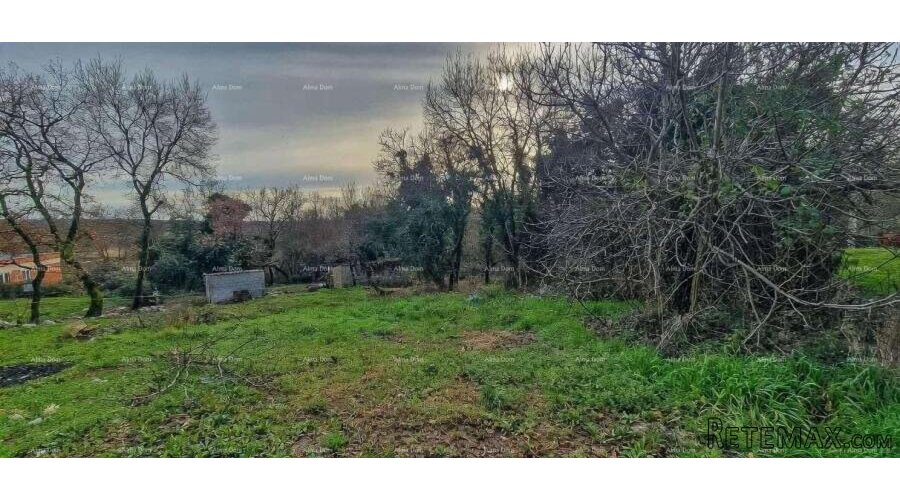 Nova Vas (Brtonigla) – Građevinsko zemljište 555 m²